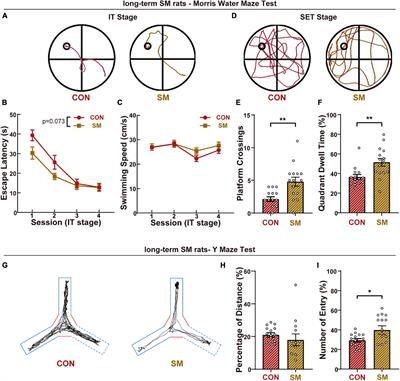 Time-course adaptive changes in hippocampal transcriptome and synaptic function induced by simulated microgravity associated with cognition